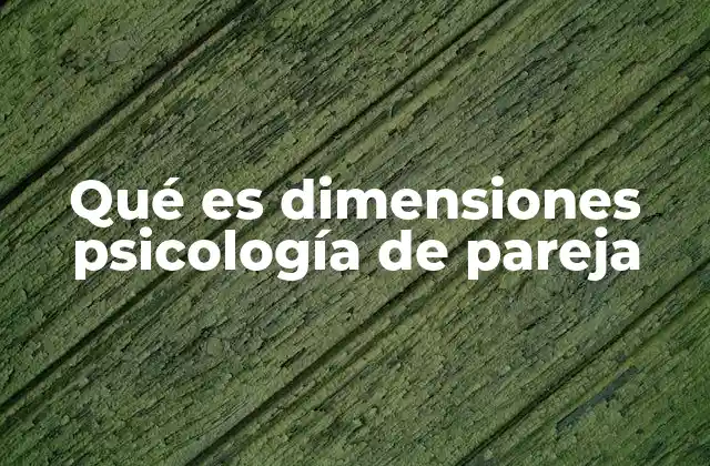 Qué es Dimensiones Psicología de Pareja