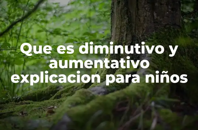 Que es Diminutivo y Aumentativo Explicacion para Niños
