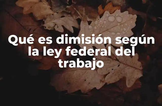 Qué es Dimisión según la Ley Federal Del Trabajo