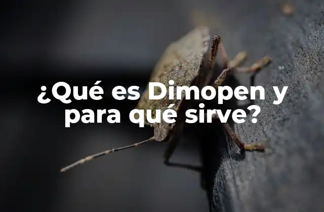¿qué es Dimopen y para Qué Sirve?