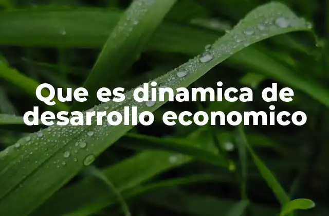 Que es Dinamica de Desarrollo Economico 2 Factores que impulsan el crecimiento económico