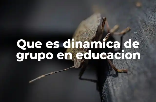 Que es Dinamica de Grupo en Educacion