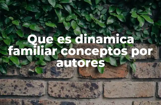 Que es Dinamica Familiar Conceptos por Autores