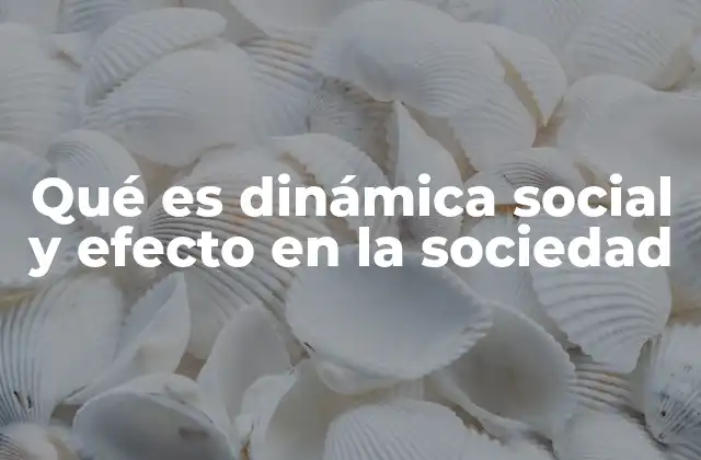 Qué es Dinámica Social y Efecto en la Sociedad