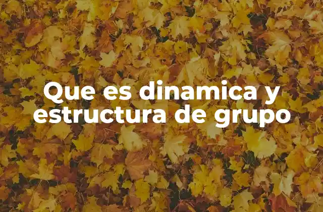 Que es Dinamica y Estructura de Grupo