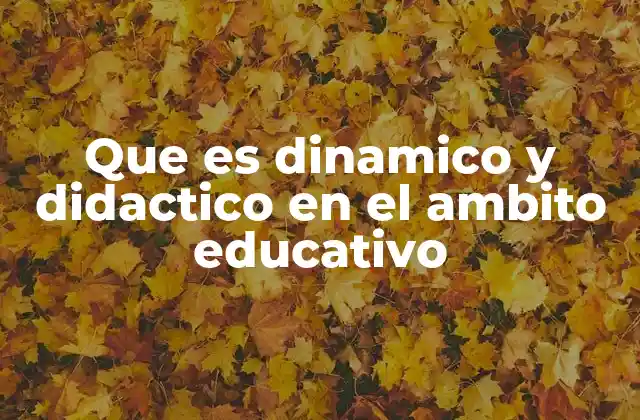 Que es Dinamico y Didactico en el Ambito Educativo