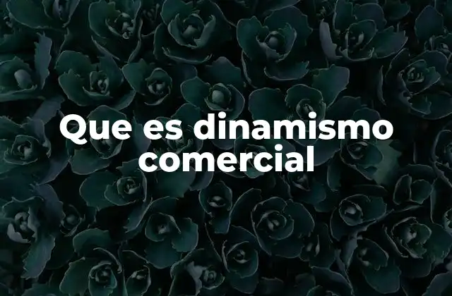 Que es Dinamismo Comercial