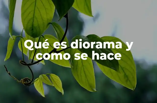 Qué es Diorama y como Se Hace