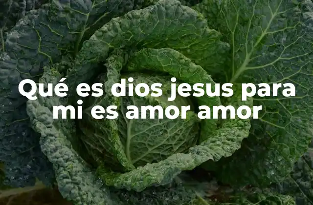 Qué es Dios Jesus para Mi es Amor Amor