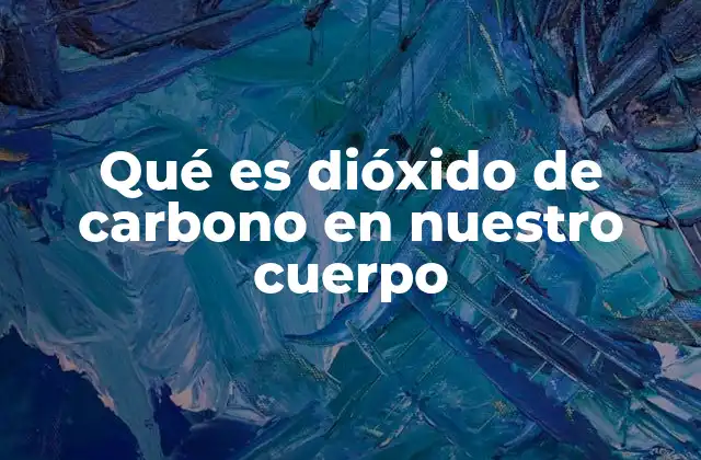 Qué es Dióxido de Carbono en Nuestro Cuerpo