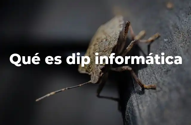 Qué es Dip Informática