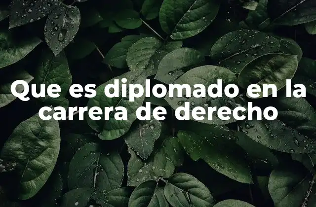 Que es Diplomado en la Carrera de Derecho