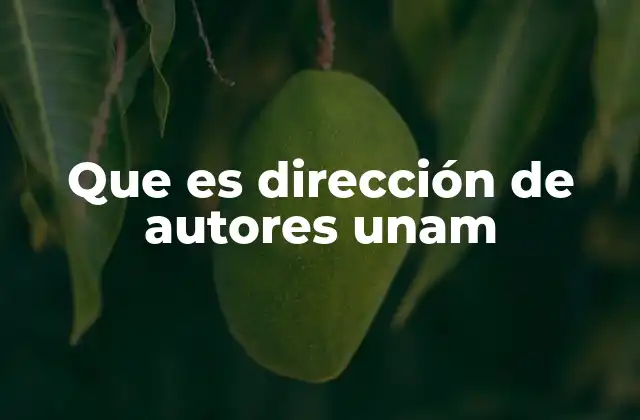 Que es Dirección de Autores Unam