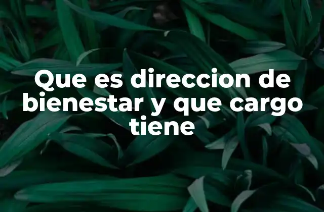 Que es Direccion de Bienestar y que Cargo Tiene