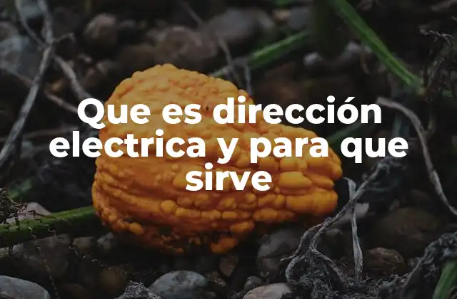 Que es Dirección Electrica y para que Sirve
