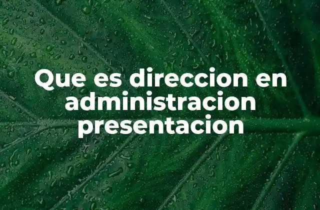 Que es Direccion en Administracion Presentacion