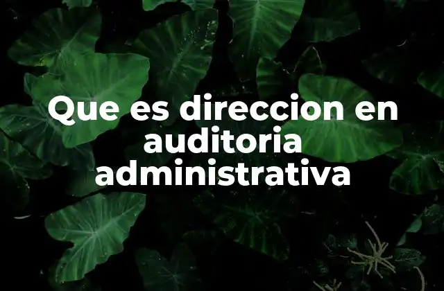 Que es Direccion en Auditoria Administrativa