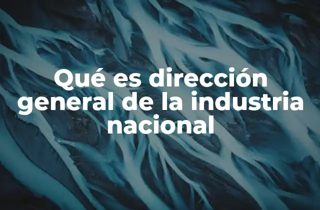 Qué es Dirección General de la Industria Nacional