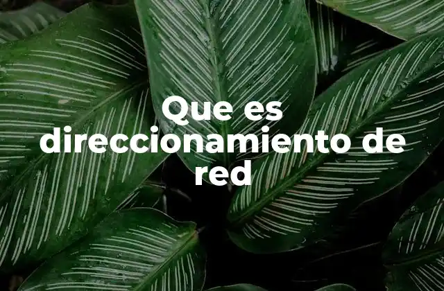 Que es Direccionamiento de Red
