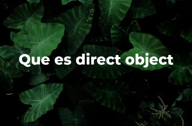 Que es Direct Object