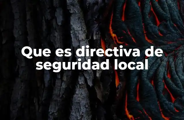 Que es Directiva de Seguridad Local