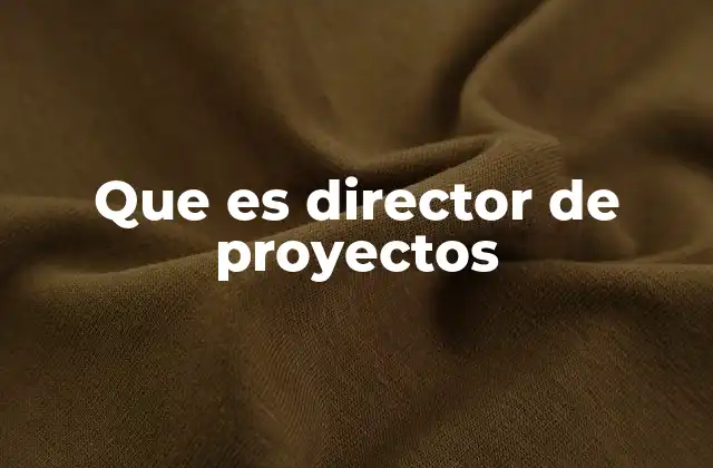 Que es Director de Proyectos