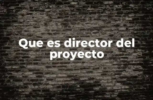 Que es Director Del Proyecto