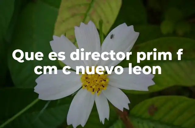 Que es Director Prim F Cm C Nuevo Leon