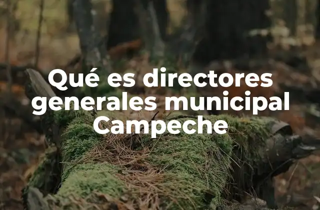 El rol de los directores generales en la administración municipal de Campeche