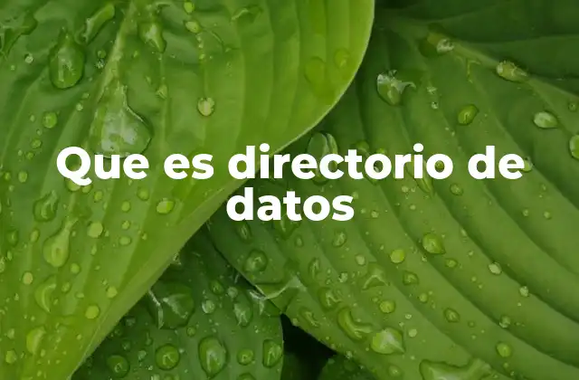 Que es Directorio de Datos