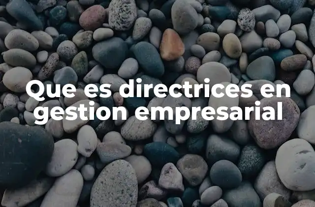 Que es Directrices en Gestion Empresarial