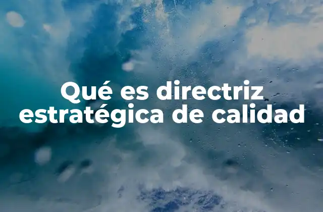 Qué es Directriz Estratégica de Calidad