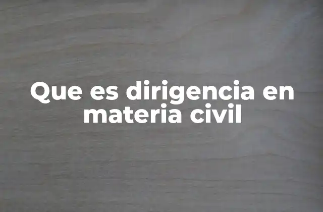 Que es Dirigencia en Materia Civil