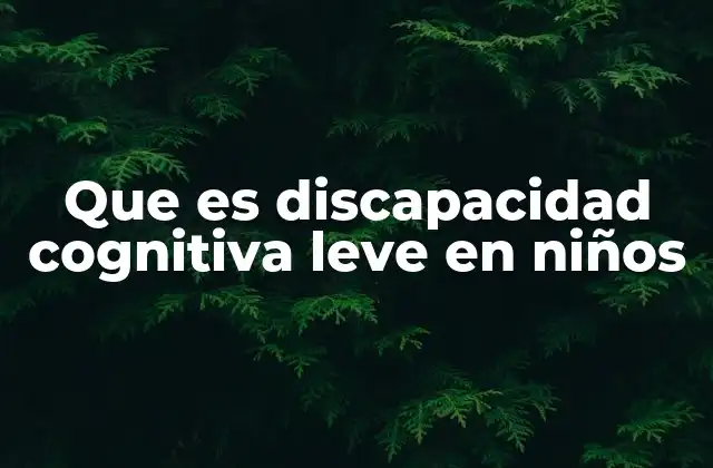 Que es Discapacidad Cognitiva Leve en Niños