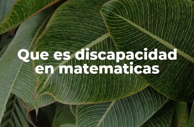 Que es Discapacidad en Matematicas
