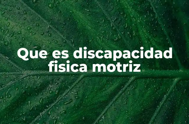 Que es Discapacidad Fisica Motriz