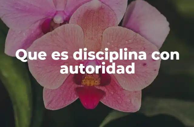 Que es Disciplina con Autoridad