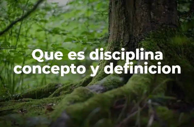 Que es Disciplina Concepto y Definicion
