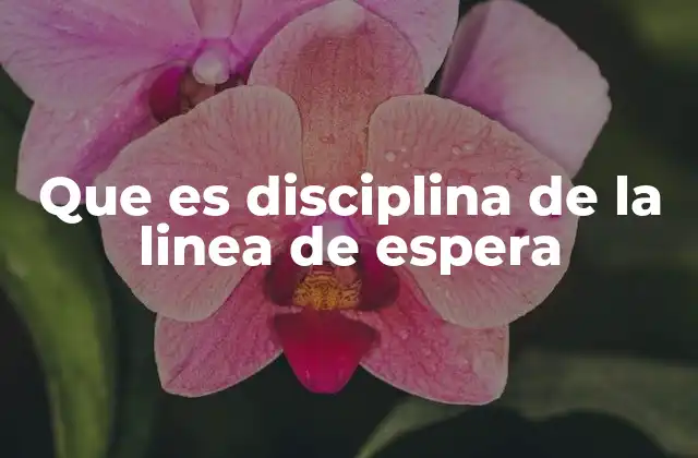 Que es Disciplina de la Linea de Espera 2 Tipos de disciplinas de la línea de espera