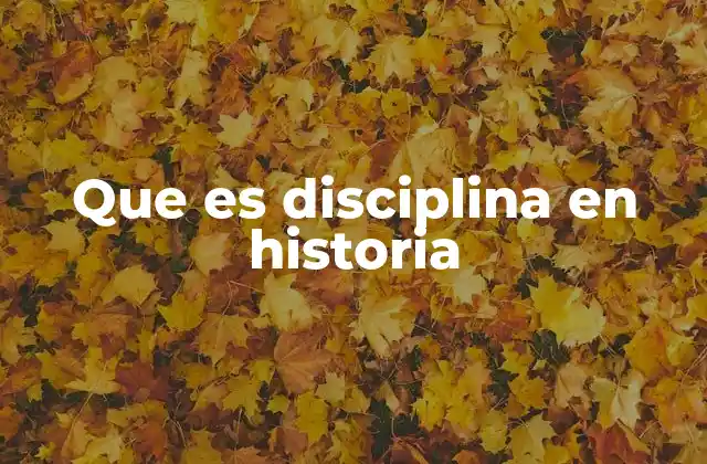 Que es Disciplina en Historia