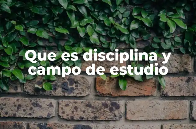 Que es Disciplina y Campo de Estudio