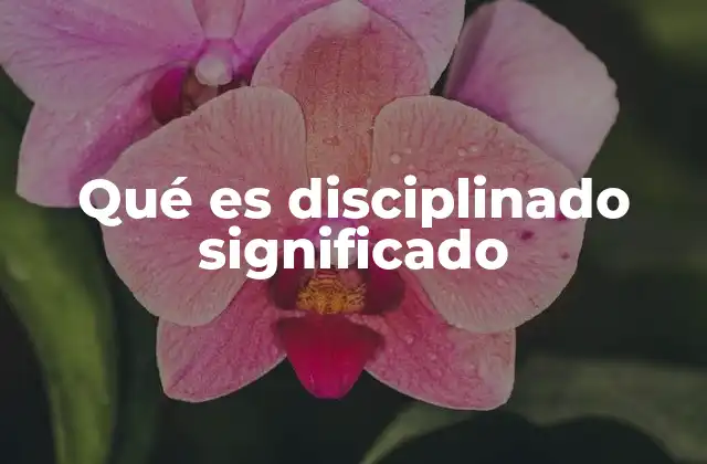 Qué es Disciplinado Significado 2 La importancia de la disciplina en la vida diaria