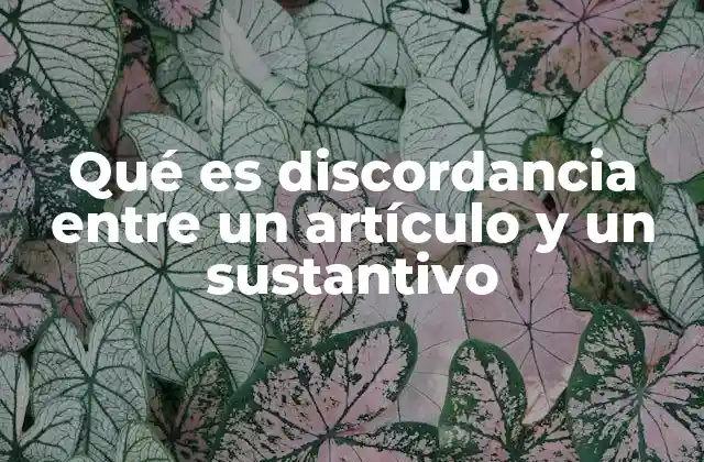 Qué es Discordancia entre un Artículo y un Sustantivo