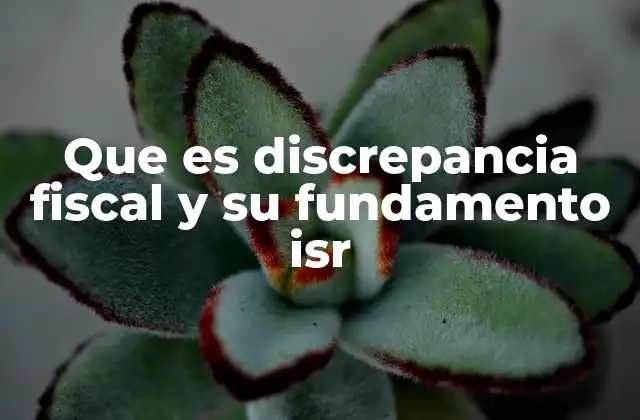 Que es Discrepancia Fiscal y Su Fundamento Isr