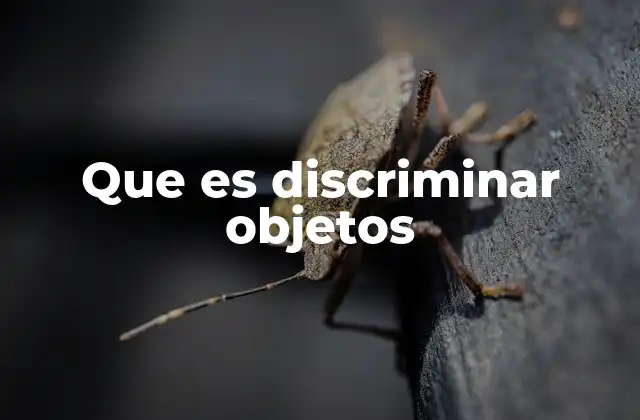 La discriminación de objetos en el desarrollo cognitivo