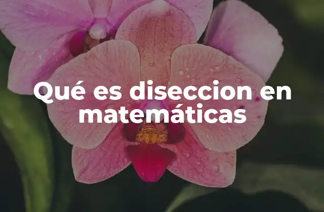 La importancia de la descomposición en geometría