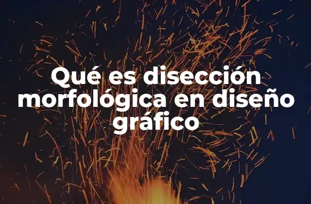 Qué es Disección Morfológica en Diseño Gráfico