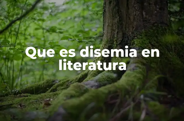 Que es Disemia en Literatura