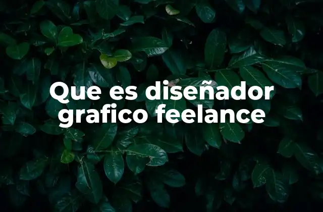 Que es Diseñador Grafico Feelance