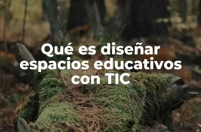 Qué es Diseñar Espacios Educativos con Tic